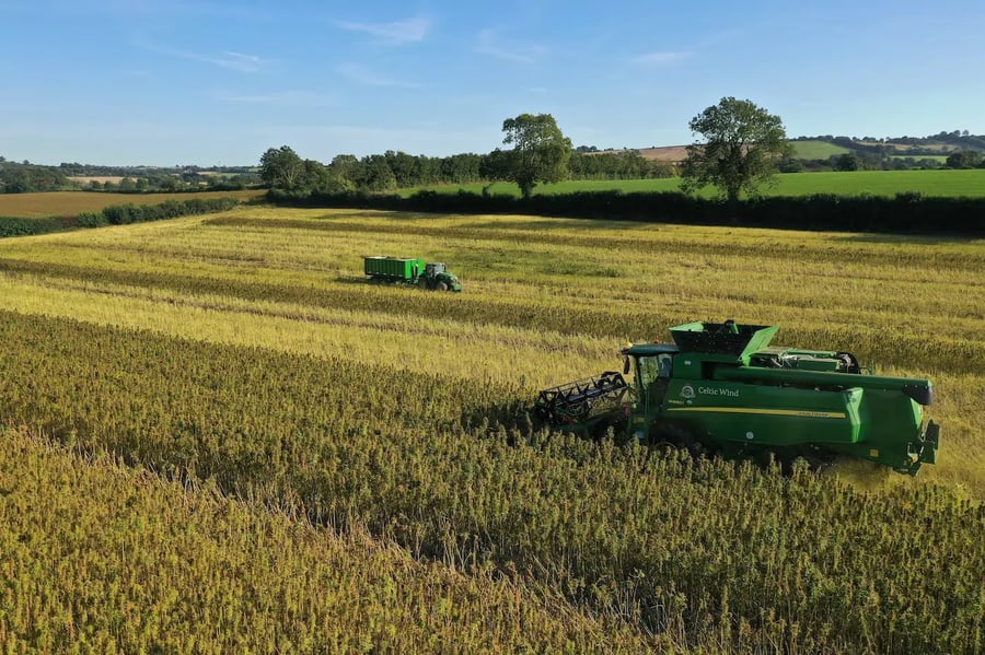 Our customers' successes: Celtic Wind's story