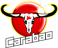 carabao