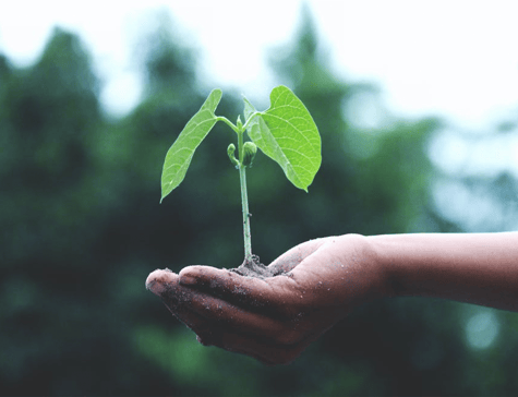 sustainability and ecommerce 3