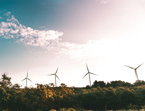 sustainability and ecommerce