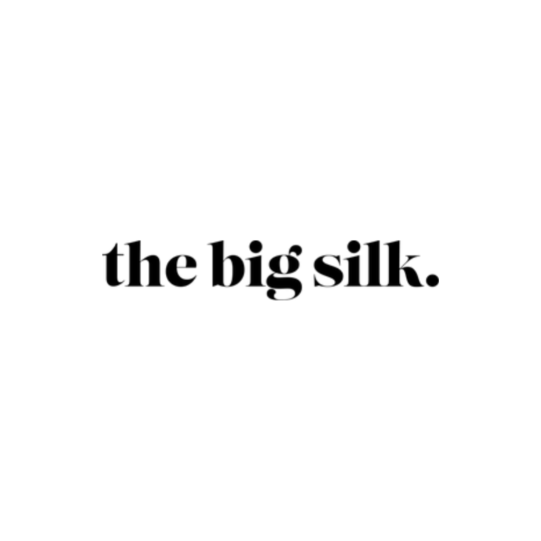 the big silk logo